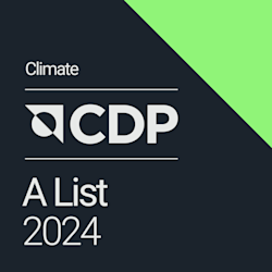 CDP A 2024