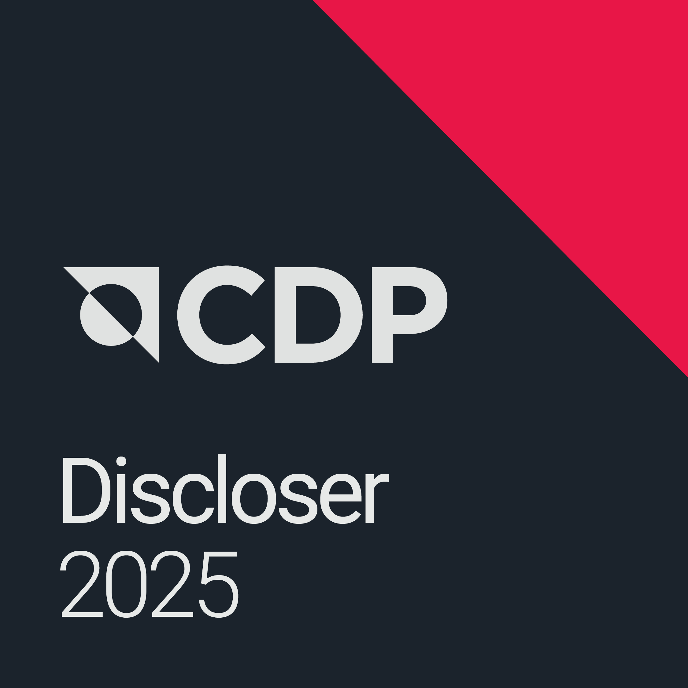 CDP 2025